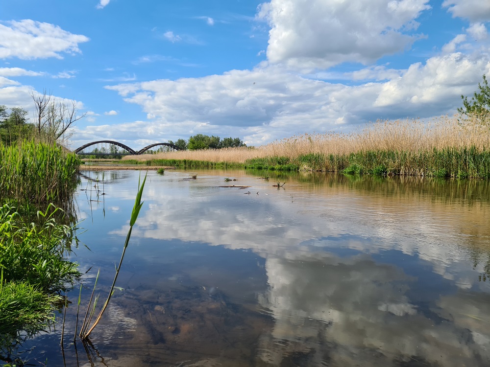 Majowa Pilica Malgorzata Skwarek